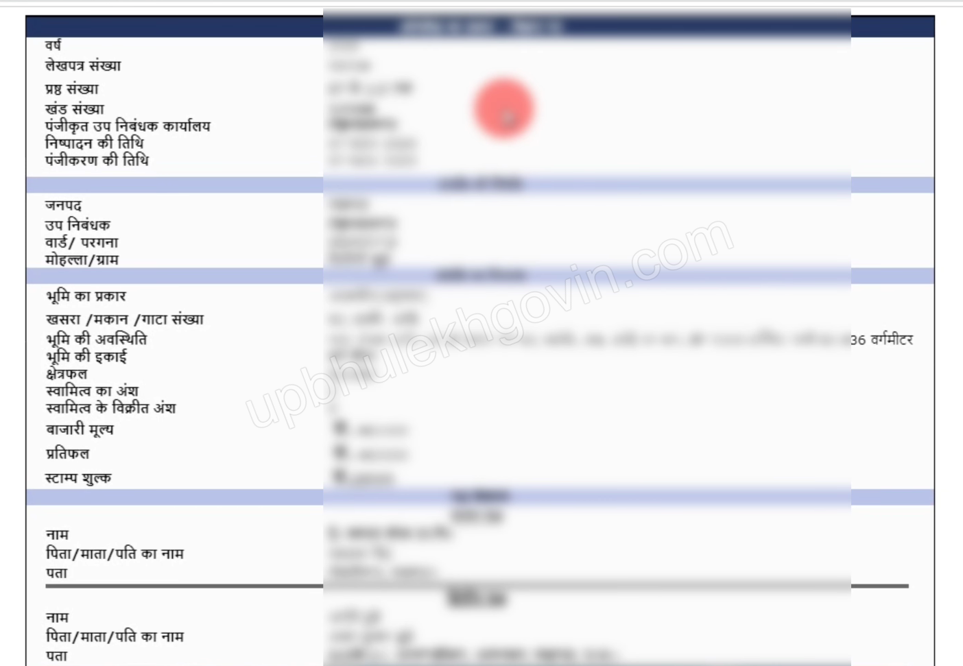 Registry Copy UP